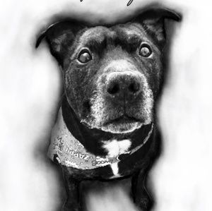 Meet your Posher, Brian